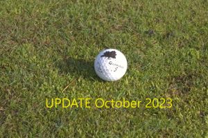 Read more about the article Preferred Lies (Winter Rules) (Update 23rd Oct 2023)
