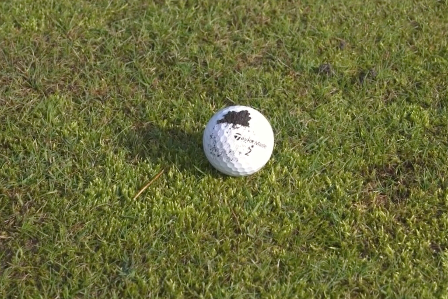 Read more about the article Preferred Lies (Winter Rules)